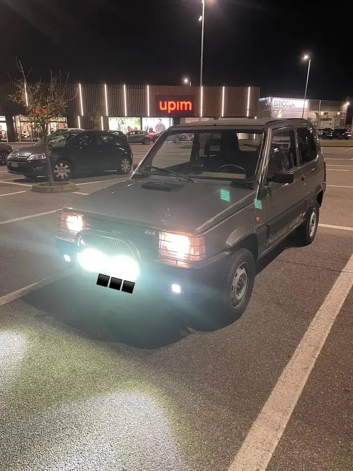 Fiat Panda 1.0 4x4 my86, foto 1