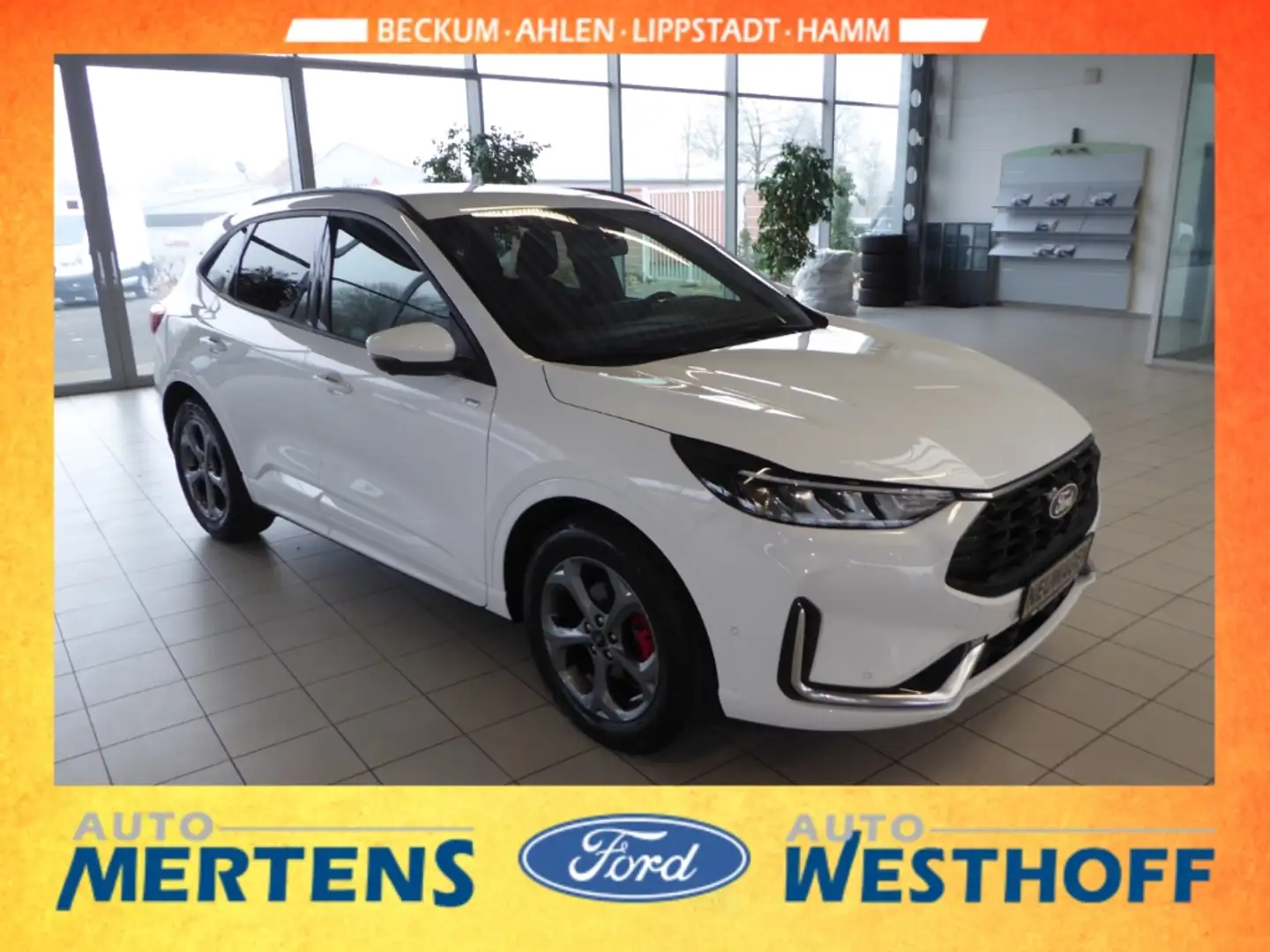 Ford Kuga ST-Line X 1.5 LED + ACC + 360 Grad-Kamera Bianco - 2