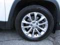 Jeep Cherokee Cherokee 2.2 Mjt Longitude Active Drive 115.000 KM Blanc - thumbnail 4