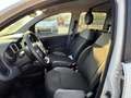 Fiat Panda VAN 0.9 POP 85CV 4X4 2P.TI SERIE 4 E6D - GK579ZJ Bianco - thumbnail 14