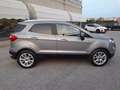 Ford EcoSport 1.0 EcoBoost 125 CV Start&Stop Titanium Gris - thumbnail 12