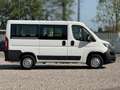 Fiat Ducato CITROEN JUMPER ATLANTE 9 POSTI Bianco - thumbnail 6