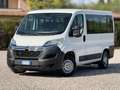 Fiat Ducato CITROEN JUMPER ATLANTE 9 POSTI Bianco - thumbnail 1