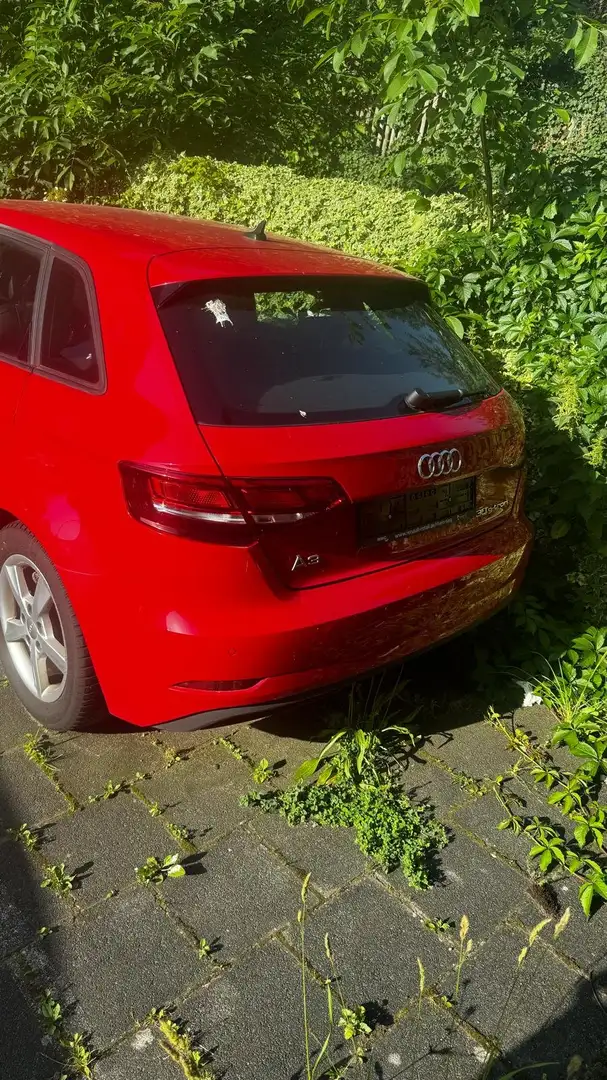 Audi A3 A3 Sportback g-tron 30 g-tron Sportback S Rot - 2