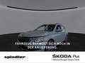 Skoda Kamiq Clever 1.5 TSI / MirrorLink, AHK, SHZ, DAB Grau - thumbnail 1