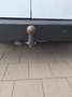 Ford Transit Connect SWB Trend T200 Weiß - thumbnail 5