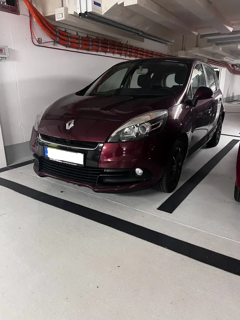 Renault Scenic 1.6 16V 110 TomTom Edition - 1