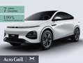 Xpeng G6 Performance AWD  AHK CarPlay 360Kam Pano ACC Wit - thumbnail 2