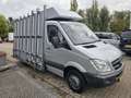 Mercedes-Benz Sprinter 516 CDI WB366 Automaat Glasresteel * NAP * Argent - thumbnail 3