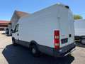 Iveco Daily 35S13 V Weiß - thumbnail 2