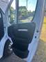Fiat Ducato 120 L2H1 RS: 3450 mm Weiß - thumbnail 4
