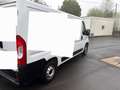 Fiat Ducato 120 L2H1 RS: 3450 mm Weiß - thumbnail 3