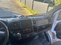 Fiat Ducato 120 L2H1 RS: 3450 mm Weiß - thumbnail 17