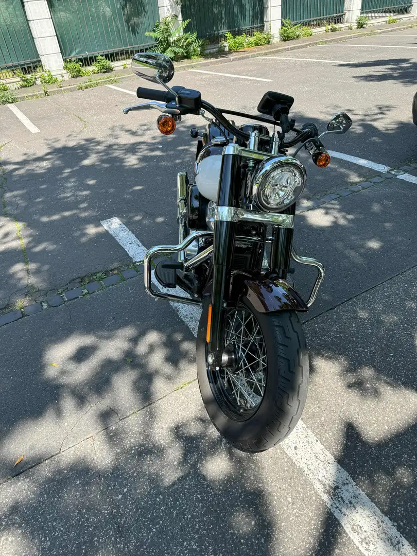 Harley-Davidson Softail Slim Jekill & Hyde Hnědá - 2