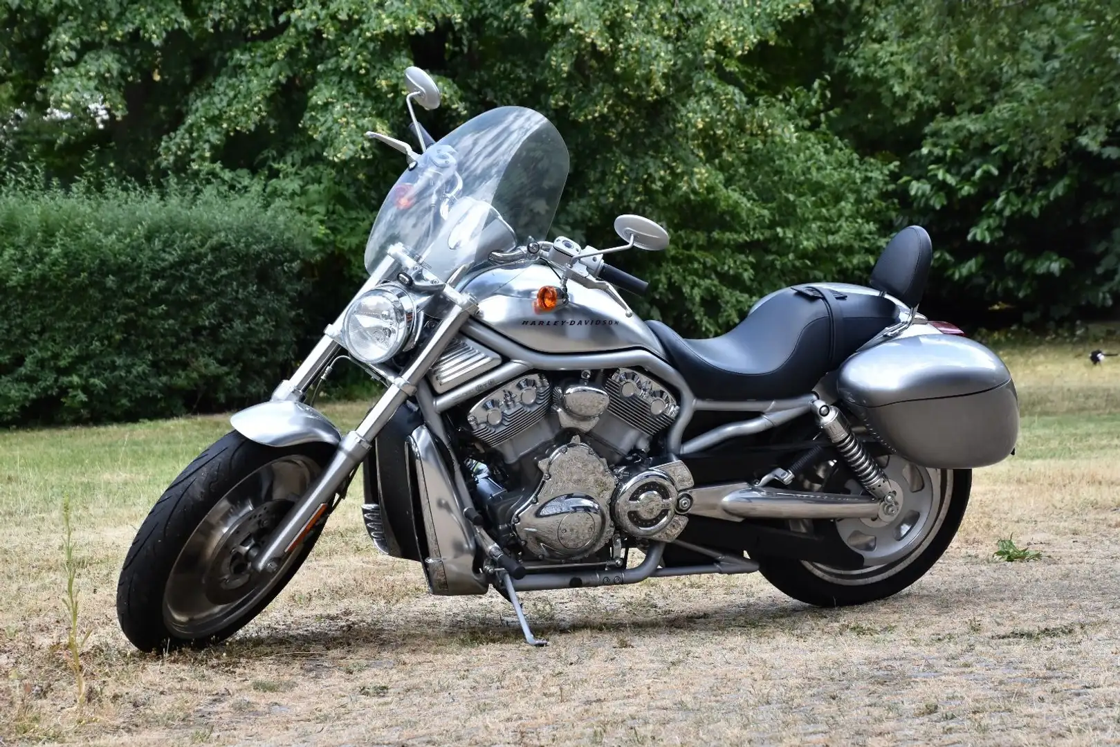 Harley-Davidson V-Rod VRSCA Deutsche Auslieferung Argent - 1