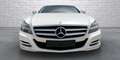 Mercedes-Benz CLS 250 Shooting Brake CDI 7G-TRONIC Edition 1 - thumbnail 3