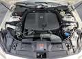 Mercedes-Benz CLS 250 Shooting Brake CDI 7G-TRONIC Edition 1 - thumbnail 9