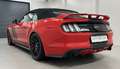 Ford Mustang 5,0 Ti-VCT V8 GT Cabrio Aut. *Remus Abgasanlage* Rot - thumbnail 20