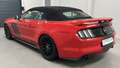 Ford Mustang 5,0 Ti-VCT V8 GT Cabrio Aut. *Remus Abgasanlage* Rot - thumbnail 18