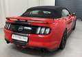Ford Mustang 5,0 Ti-VCT V8 GT Cabrio Aut. *Remus Abgasanlage* Rot - thumbnail 10