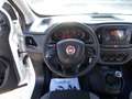 Fiat Doblo 1.6 MJT 95CV S&S Easy Bílá - thumbnail 14