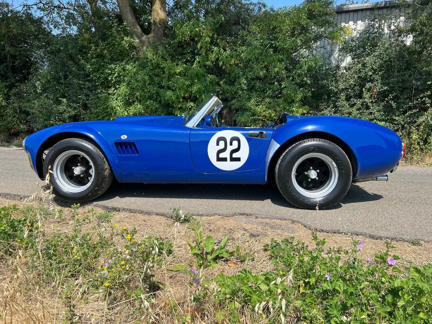 AC Cobra replica Hayden 2005 Blu/Azzurro - 1