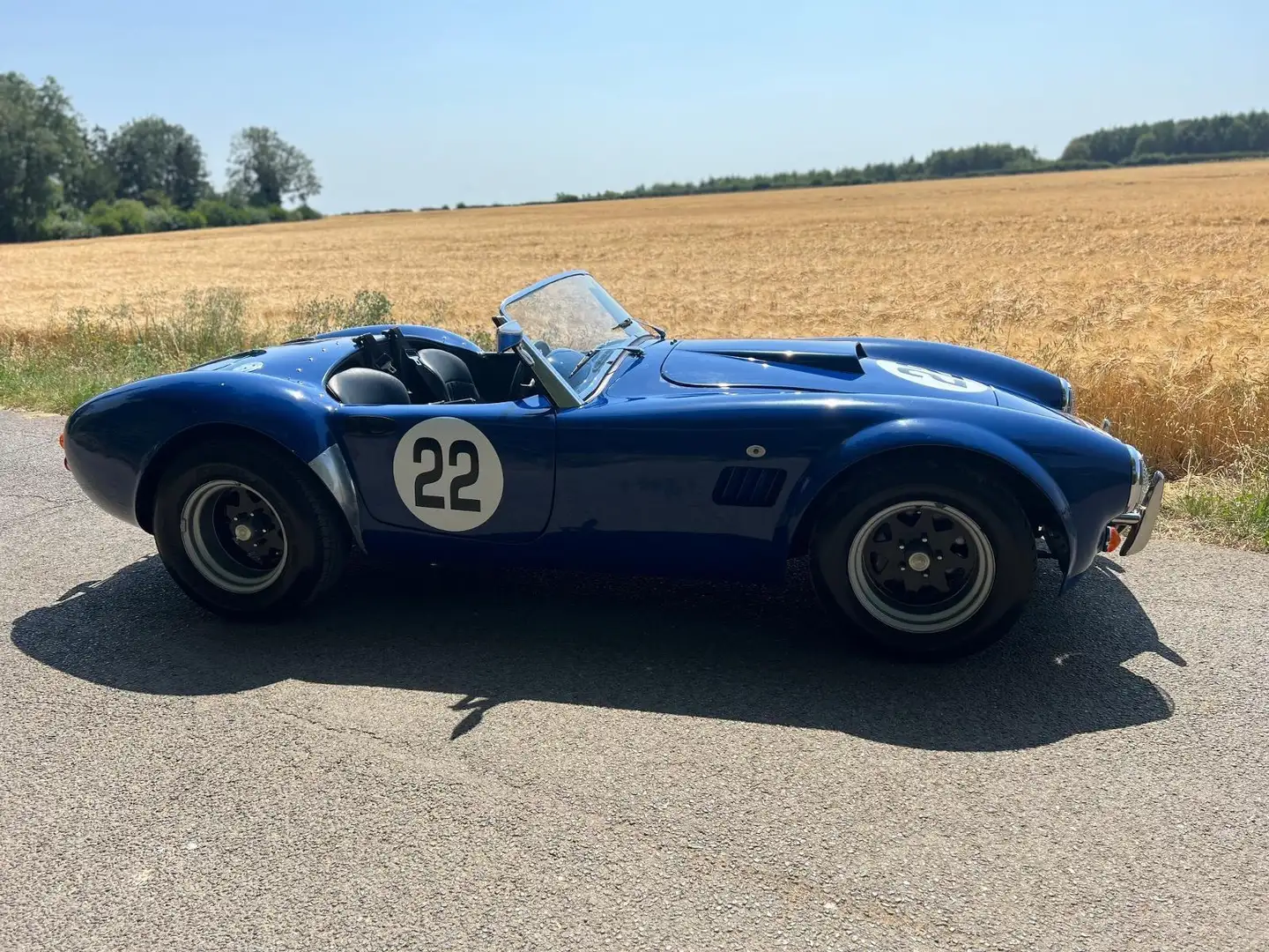 AC Cobra replica Hayden 2005 Blu/Azzurro - 2