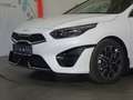 Kia Ceed SW / cee'd SW ceed SW 1,5 TGDI GT-Line 48V DCT *VOLLAUSSTATTUNG* Weiß - thumbnail 23