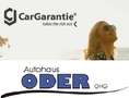 Volkswagen Polo 1.0 Trendline Azul - thumbnail 13