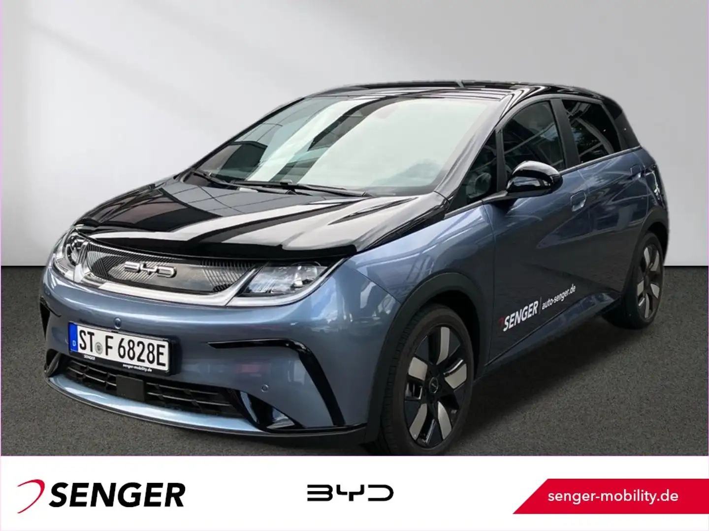 BYD Dolphin Design Panorama 360°-Kamera Keyless LED Negro - 1