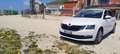 Skoda Octavia Wagon 1.6 tdi Executive 115cv - thumbnail 1