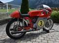 MV Agusta Egyéb Oldtimer Rennmaschine ohne Strassenzulassung Piros - thumbnail 4