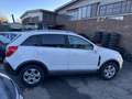 Opel Antara 2.2 cdti, 2WD, 120KW, Solo 97.000KM, Anno 2014 Blanc - thumbnail 3