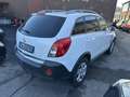 Opel Antara 2.2 cdti, 2WD, 120KW, Solo 97.000KM, Anno 2014 Blanc - thumbnail 12
