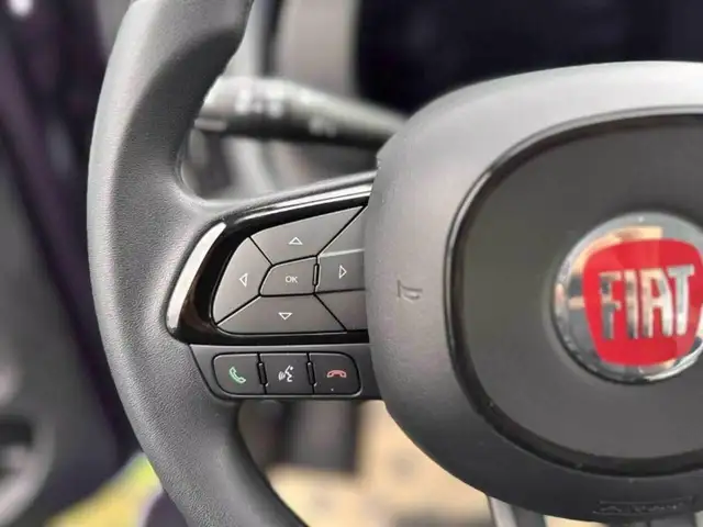 Fiat Panda view 13