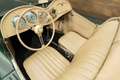 MG TD MK2 | Extensively restored | 1953 Verde - thumbnail 4