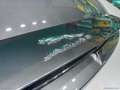 Jaguar F-Type 3.0 V6 380CV aut. Conv. R-Dynamic CABRIO, CAMBIO A Negru - thumbnail 17
