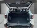 Kia Sportage 1.6 CRDi 48V DCT 2WD  SPIRIT DRIVE SOUND-PAKET FAC Weiß - thumbnail 5