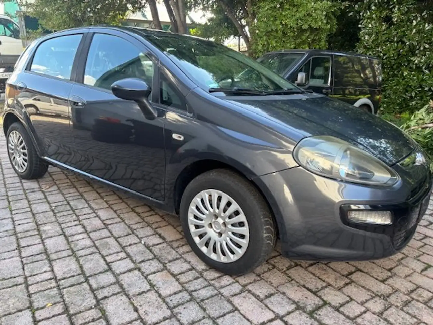 Fiat Punto Punto 5p 1.2 Classic Active Noir - 2