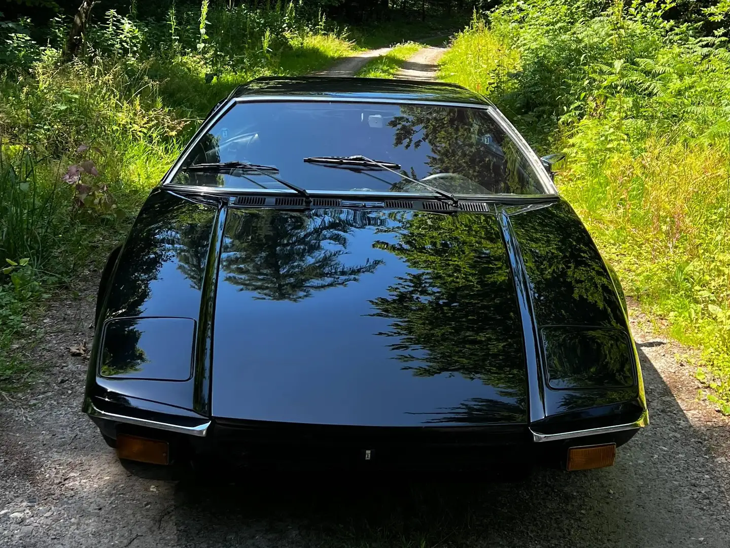 De Tomaso Pantera Pantera 874 GTS Schwarz - 2
