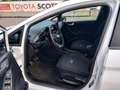 Ford Fiesta Active 5 porte 1.0 EcoBoost Hybrid X Bianco - thumbnail 8