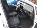 Ford Fiesta Active 5 porte 1.0 EcoBoost Hybrid X Bianco - thumbnail 10