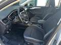 Ford Focus 5 Porte 1.5 EcoBlue Plus Argento - thumbnail 12