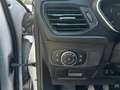 Ford Focus 5 Porte 1.5 EcoBlue Plus Argent - thumbnail 18
