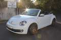 Volkswagen Beetle Cabriolet Allstar BMT Kamera 1. Hand Blanc - thumbnail 1