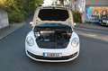 Volkswagen Beetle Cabriolet Allstar BMT Kamera 1. Hand Blanc - thumbnail 25