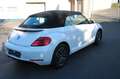 Volkswagen Beetle Cabriolet Allstar BMT Kamera 1. Hand Blanc - thumbnail 23