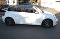 Volkswagen Beetle Cabriolet Allstar BMT Kamera 1. Hand Blanc - thumbnail 6