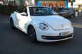 Volkswagen Beetle Cabriolet Allstar BMT Kamera 1. Hand Blanc - thumbnail 3