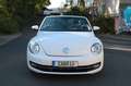 Volkswagen Beetle Cabriolet Allstar BMT Kamera 1. Hand Blanc - thumbnail 2